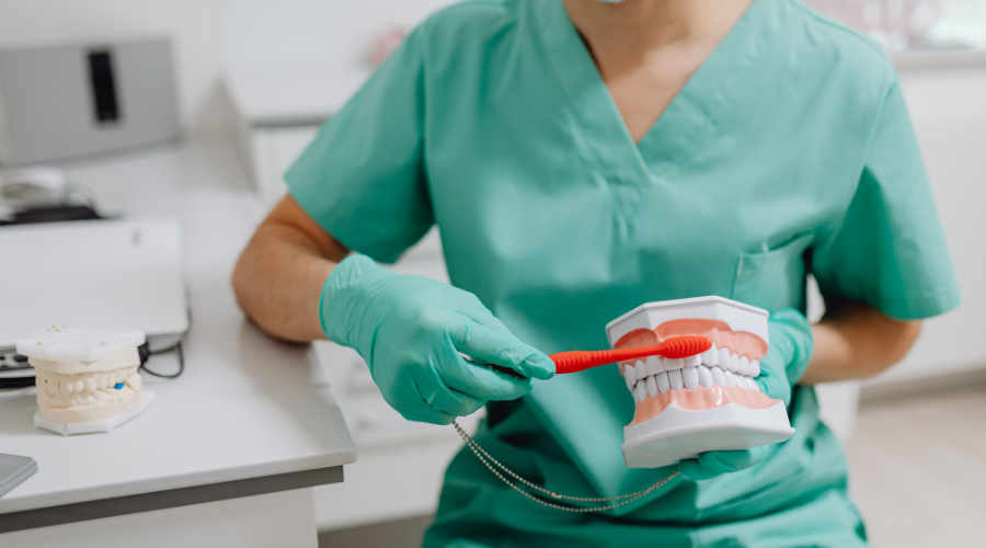 Hygienist with mouth model and toothbrush