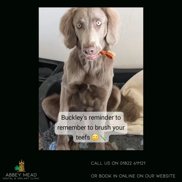 🌟🦷This is your Daily Reminder to brush your teeth 🦷🌟

Buckley wanted to remind everyone that, brushing your teeth takes 4 minutes out of your day, so everyone get brushing🪥

#brushyourteeth #dentistry #abbeymead #tavistock #4minutesofyourday